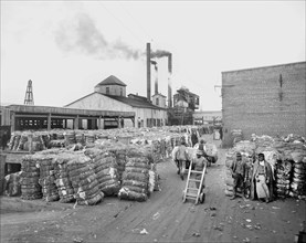 Bales of Cotton on Dock, Norfolk, Virginia, USA, Detroit Publishing Company, 1900