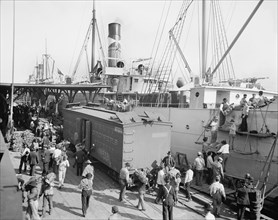 Workers Unloading Bananas From Steamer, New Orleans, Louisiana, USA, Detroit Publishing Company, 1905
