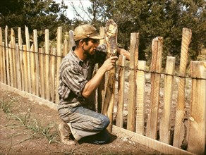 Jack Whinery, Homesteader, Repairing Fence that he built with Slabs, Pie Town, New Mexico, USA, Russell Lee for Farm Security Administration - Office of War Information, September 1940