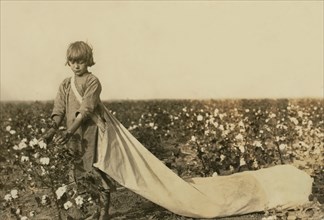 Norma Lawrence, 10 years old, Full-Length Portrait, Cotton Picker, Picks 100 to 150 pounds of Cotton per day, Comanche County, Oklahoma, USA, Lewis Hine for National Child Labor Committee, October 191...
