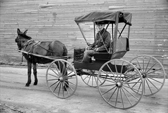 Man and Horse-Drawn Buggy, Hoffman, North Carolina, USA, Carl Mydans, U.S. Resettlement Administration, March 1936