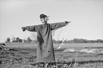 Scarecrow in Field, North Carolina, USA, John Vachon for Farm Security Administration, April 1938