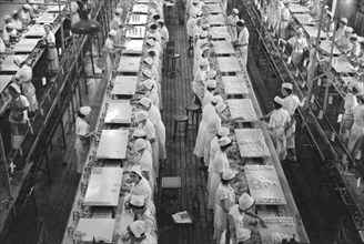 High Angle View of Women at Work in Grapefruit Canning Factory, Winter Haven, Florida, USA, Arthur Rothstein for U.S. Resettlement Administration, January 1937