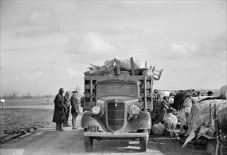 State Highway Officials Moving Evicted Sharecroppers Away from Roadside to Area between Levee and Mississippi River, New Madrid County, Missouri, USA, Arthur Rothstein for Farm Security Administration...
