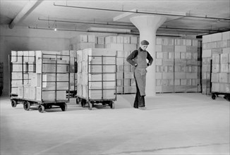 Worker Storing Crates of Eggs in Cold Storage Warehouse, Jersey City, New Jersey, USA, Arthur Rothstein for Farm Security Administration, January 1939