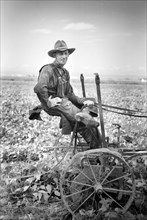 Thomas W. Beede, Resettlement Client, Western Slope Farms, Colorado, USA, Arthur Rothstein for Farm Security Administration, October 1939