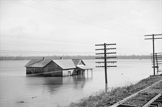 View of Flood from Train en route to Forrest City, Arkansas from Memphis, Tennessee, USA, Edwin Locke for U.S. Resettlement Administration, February 1937