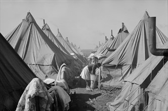 Street of Tents for Flood Refugees, Forrest City, Arkansas, USA, Edwin Locke for U.S. Resettlement Administration, February 1937