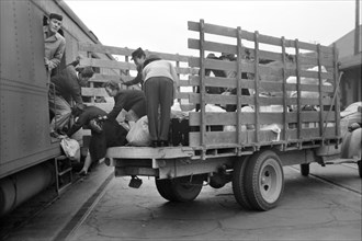 Japanese-Americans and Baggage on Truck Being Loaded on to Train to Owens Valley During Evacuation of Japanese-Americans from West Coast Areas under U.S. Army War Emergency Order, Los Angeles, Califor...