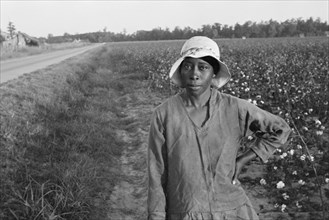 Cotton Picker, Pulaski County, Arkansas, USA, Ben Shahn for U.S. Resettlement Administration, October 1935