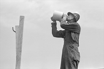 Member of Threshing Crew Drinking Water from Jug, Central Ohio, USA, Ben Shahn, U.S. Resettlement Administration, July 1938