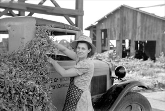 Wife of Pea Farmer at Vinery near Sun Prairie, Wisconsin, USA, Russell Lee, U.S. Resettlement Administration, June 1937