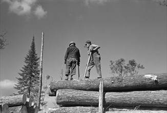 Lumberjacks on Carload of Timber, near Effie, Minnesota, USA, Russell Lee, U.S. Resettlement Administration, September 1937
