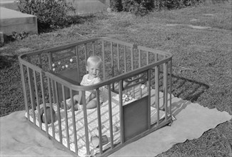 Child in Playpen on Lawn, Greenbelt, Maryland, USA, Marion Post Wolcott, Farm Security Administration, September 1938