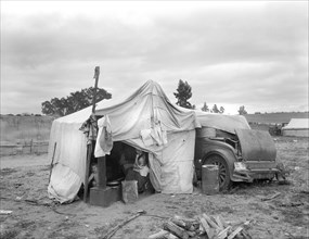 Pea Picker's Home, which Warrant Resettlement Camps for Migrant Agricultural Workers, Nipomo, California, USA, Dorothea Lange, Farm Security Administration, March 1936