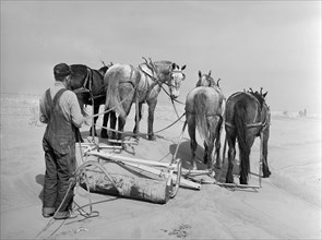 Removing Drifts of Soil Blocking Highway near Guymon, Oklahoma, USA, Arthur Rothstein, Farm Security Administration, March 1936