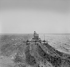 Farmer Listing his Field under Wind Erosion Control Program, Receiving 20 cents per Acre for his Work, Liberal, Kansas, USA, Arthur Rothstein, Farm Security Administration, March 1936