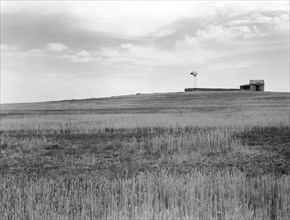 Wheat Fields, spoiled by Grasshopper Plague near Beach, North Dakota, USA, Arthur Rothstein, Farm Security Administration, July 1936