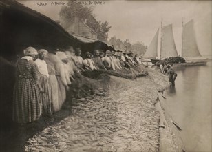 African American Men and Women with Large Net of Shad by Water, Possibly Chesapeake Bay, USA, Bain News Service, 1915