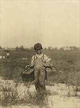 Young Boy Carrying Cranberries at Cranberry Farm, Browns Mills, New Jersey, USA, Lewis Hine, circa 1910
