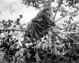Girl Climbing a Tree in Summer, circa 1900