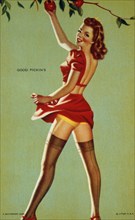 Sexy Woman Picking Apples, "Good Pickins", Mutoscope Card, 1940's