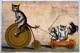 Cat Riding Bicycle Towing Wagon with Kittens, Phelps, Dodge and Palmer Co., Trade Card, circa 1885