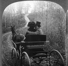 Man and Woman in a Horse Drawn Carriage, Rear View, Single Image of Stereo Card, circa 1901