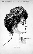 Gibson Girl, Portrait, Drawing by Charles Dana Gibson, circa 1903