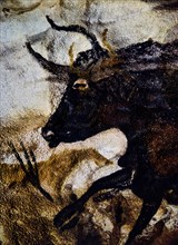 Cave Painting of Black Bull, Lascaux, France