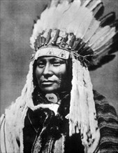Rain in the Face, Hunkpapa Sioux Chief, Portrait