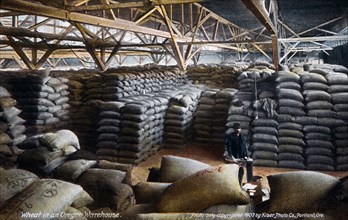 Stacks of Wheat in Warehouse, Oregon, USA, circa 1907