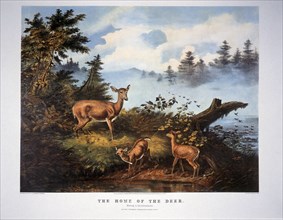 Morning in the Adirondacks, New York, Home of the Deer, Currier & Ives, 1862