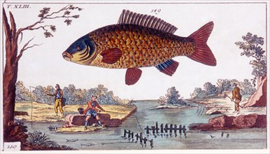 Fish and Fishermen, Hand-Colored Woodcut, circa 1800