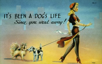 Woman Walking Dogs, "It's Been a Dog's Life Since You Went Away!", Pin-Up Postcard, Illustration 1940's