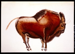 Bison, Altamira, Spain, Cave Painting from Upper Paleolithic Period