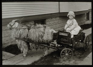 Young Girl Sitting in Goat Cart, circa 1930
