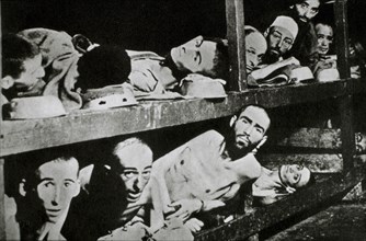 Prisoners in German Concentration Camp, 1944