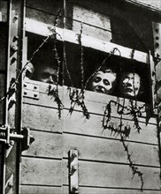 Prisoners Being Transported to Auschwitz, Poland, 1944