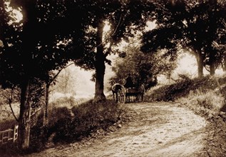 Man in Horse-Drawn Wagon Traveling Along Rural Road, USA, circa 1880