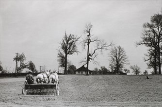 Farmer With Horse-Drawn Grain Drill in Field, USA, circa 1930