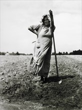 Woman Planting Tobacco, Durham, North Carolina, USA,  circa 1940