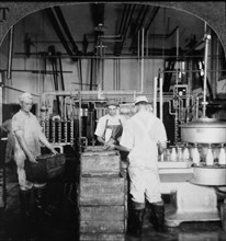 Workers in Milk Bottling Plant, Cohocton, New York, USA, Single Image of Stereo Card, circa 1900