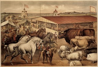 Sights at the Fair Grounds, Currier & Ives, Lithograph, 1888