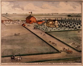 Stock Farm of 680 Acres and Residence of WW Craddock, Esq., Fairfield, Bureau, Illinois, USA, Lithograph, 1870