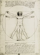 Vitruvian Man, Study of Proportions, Leonardo Da Vinci, Drawing, circa 1490