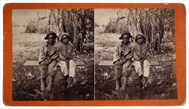 Two Young Boys, Savannah, Georgia, Stereo Card, 1885