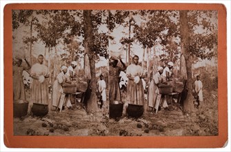 Women Washing Clothes Outdoor, Savannah, Georgia, USA, Stereo Card, 1885