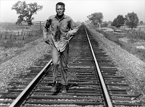 Paul Newman on-set of the Film, "Cool Hand  Luke", 1967