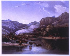 Herds of Bison and Elk on the Upper Missouri, Lithograph after Painting by Karl Bodmer, 1839